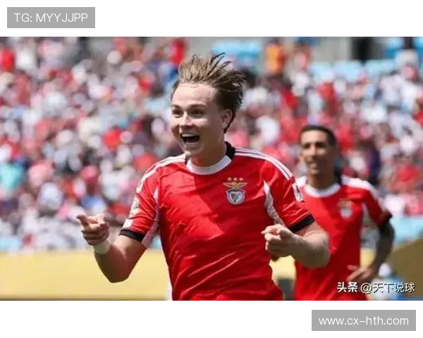 本菲卡若继续打造稳健体系，欧洲竞争力提升明显